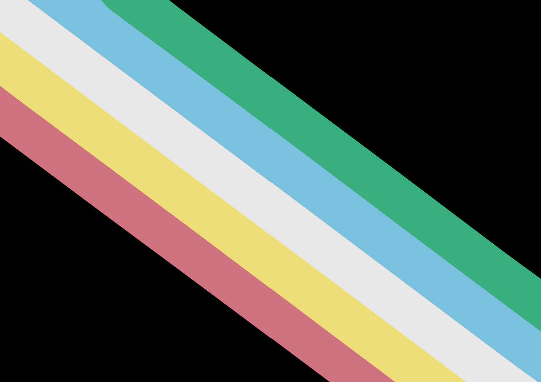 Disability Pride Collection