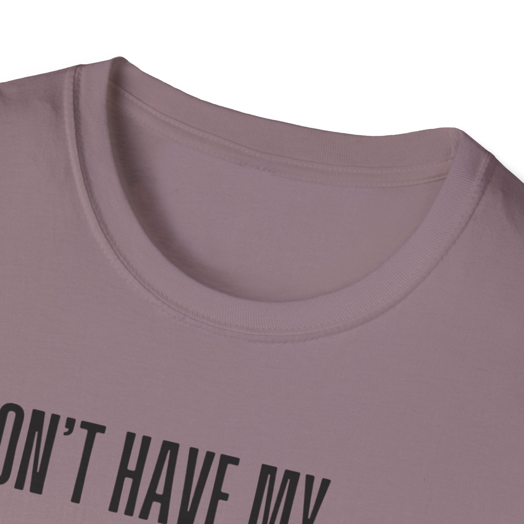 Silly Goose T-Shirt — "I Don't Have My Ducks in a Row, But I Have a Silly Goose."