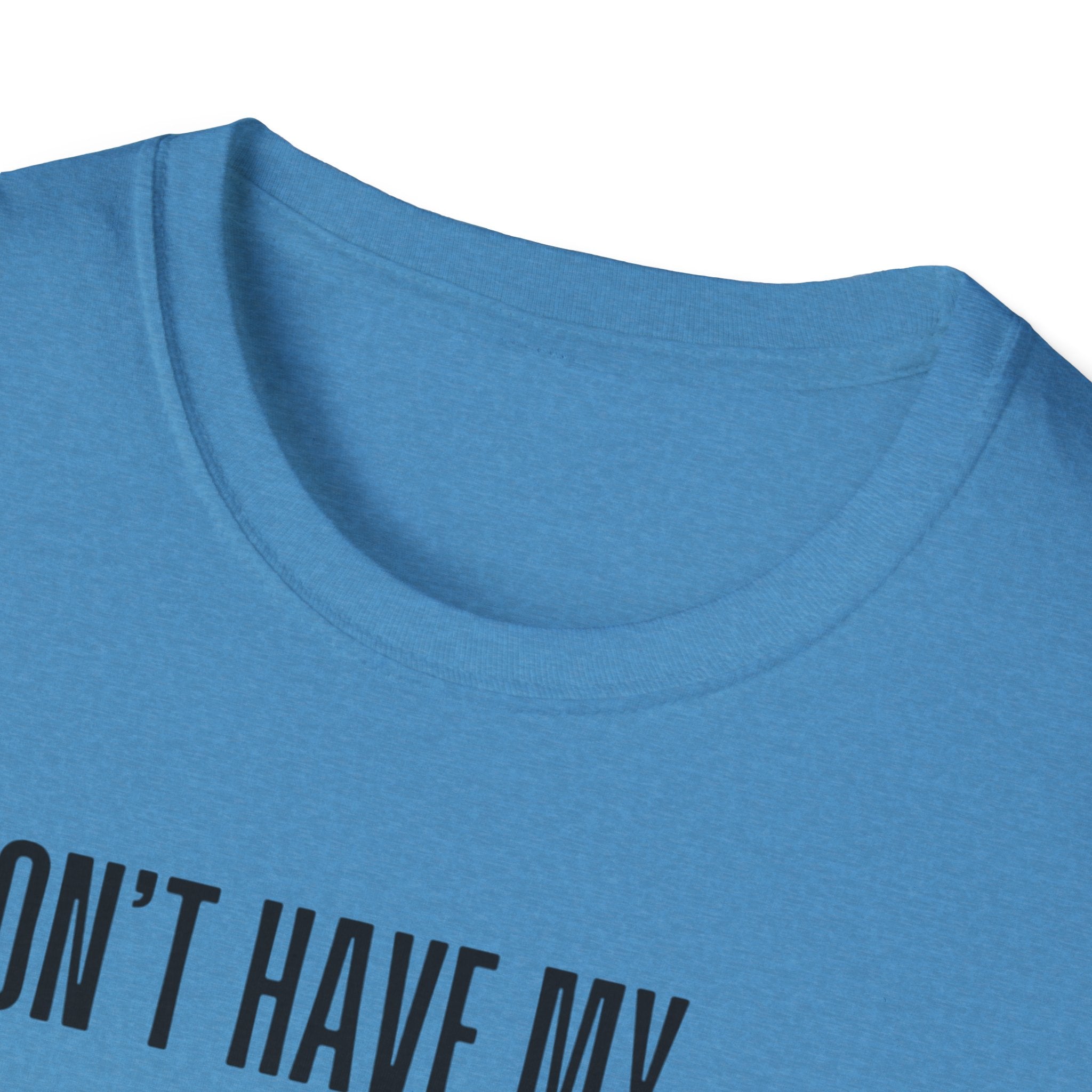 Silly Goose T-Shirt — "I Don't Have My Ducks in a Row, But I Have a Silly Goose."