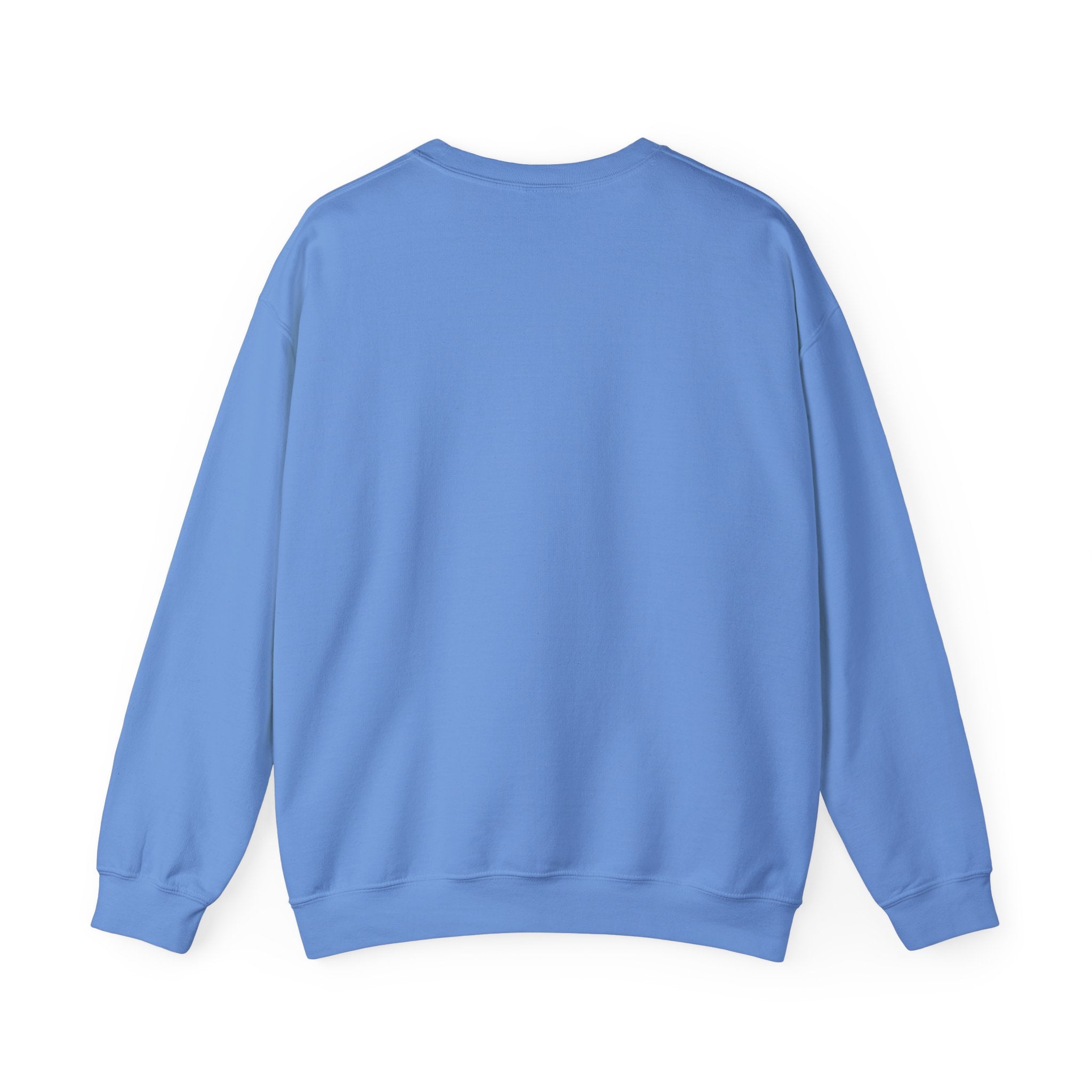 Rare Zebra Awareness Sweatshirt — "I Am Rare" Teal Ribbon Crewneck