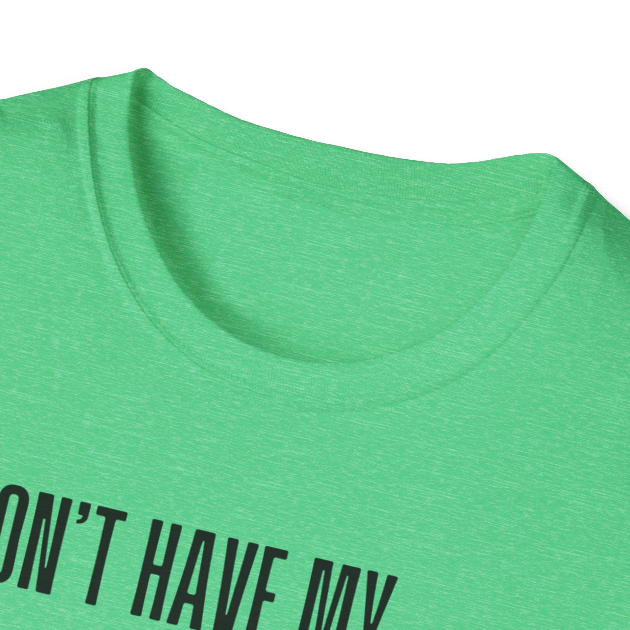 Silly Goose T-Shirt — "I Don't Have My Ducks in a Row, But I Have a Silly Goose."