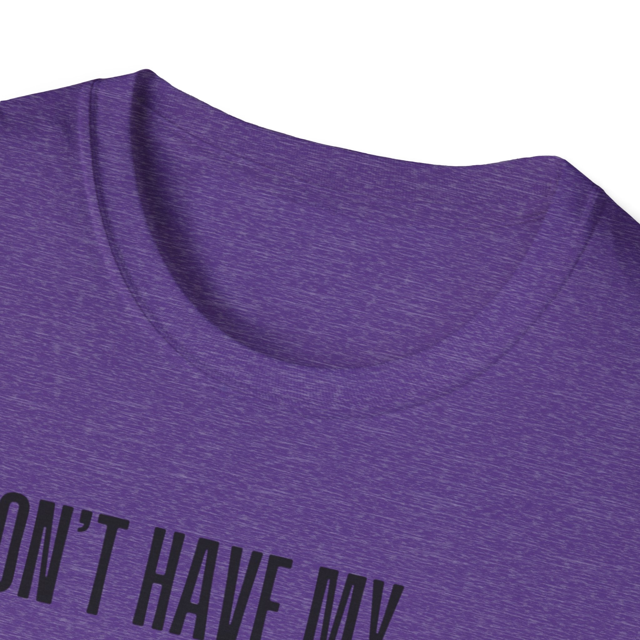 Silly Goose T-Shirt — "I Don't Have My Ducks in a Row, But I Have a Silly Goose."